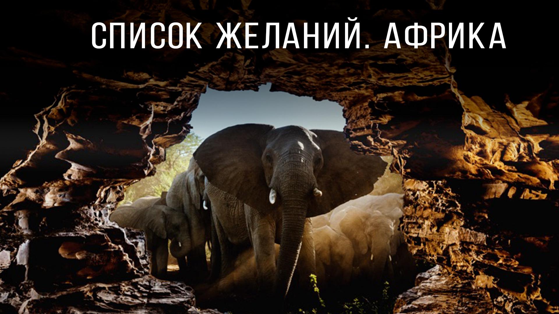 Список желаний. Африка