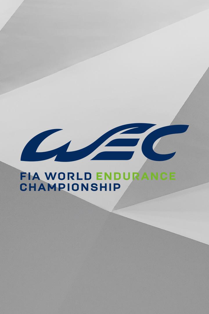 Мировая серия автомобильных гонок на выносливость "24 часа", 2023, этап 7