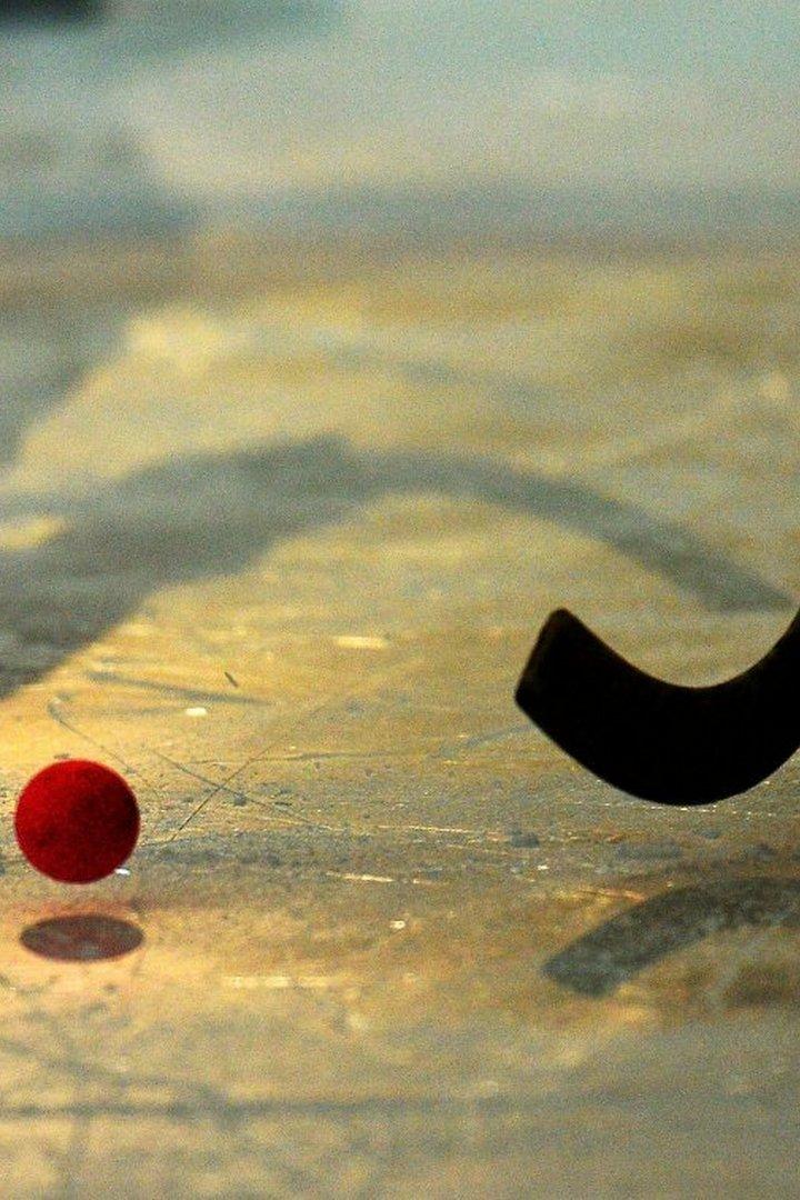 Хоккей с мячом. Водник (Архангельск) - Кузбасс (Кемерово)