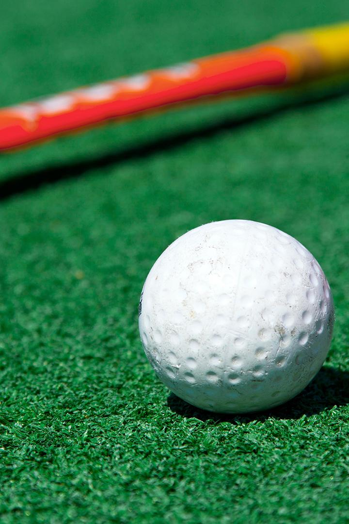 Индорхоккей. Динамо-Строитель - Восток-Электросталь