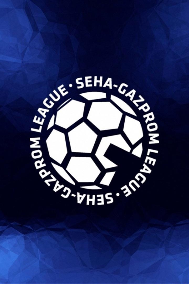 Гандбол. SEHA Лига 23/24. Пермские Медведи - Гомель