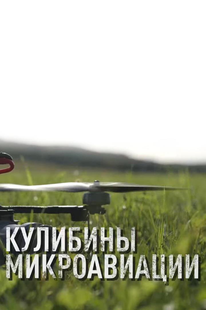 Кулибины микроавиации