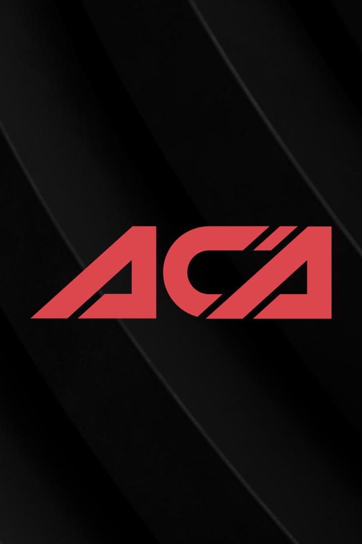 Смешанные единоборства. АСА 170. Евгений Гончаров против Антона Вязигина. Шамиль Абдулаев против Абдул-Рахмана Джанаева. Трансляция из Москвы