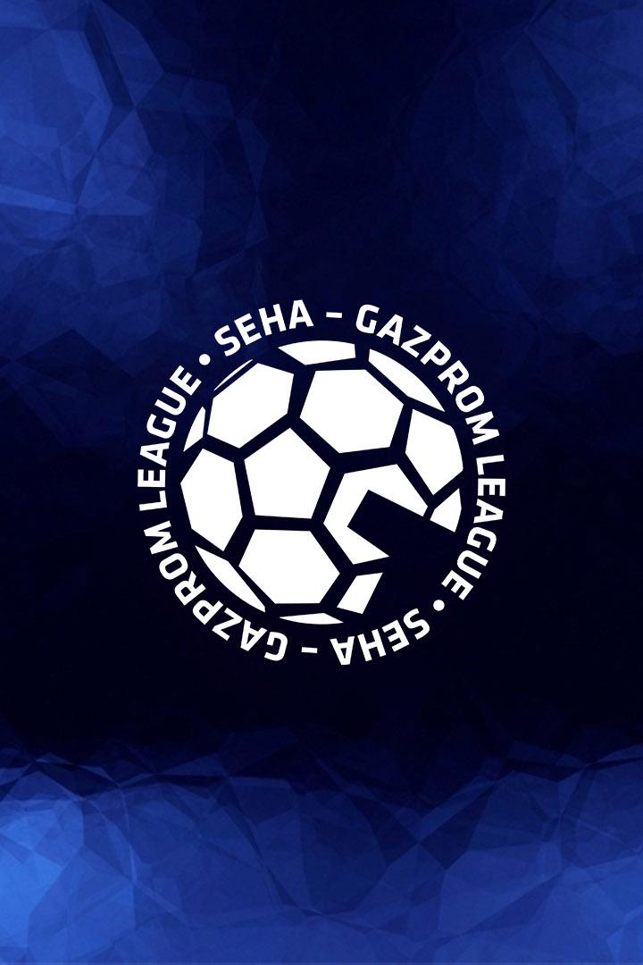 Гандбол. SEHA-Газпром Лига. 1/4 финала. "Пермские медведи" (Пермь) - "Чеховские медведи" (Московская область)