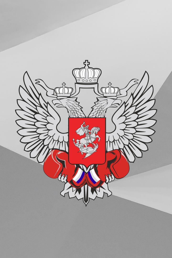 Молодёжное первенство Свердловской области по боксу (финальные бои). Каменск-Уральский (Россия)