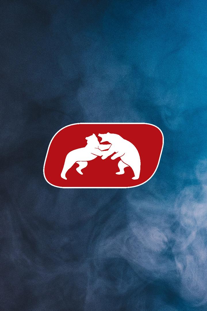 X Международные соревнования по спортивной борьбе среди юниоров и юниорок памяти Олимпийского чемпиона Р.М.Дмитриева