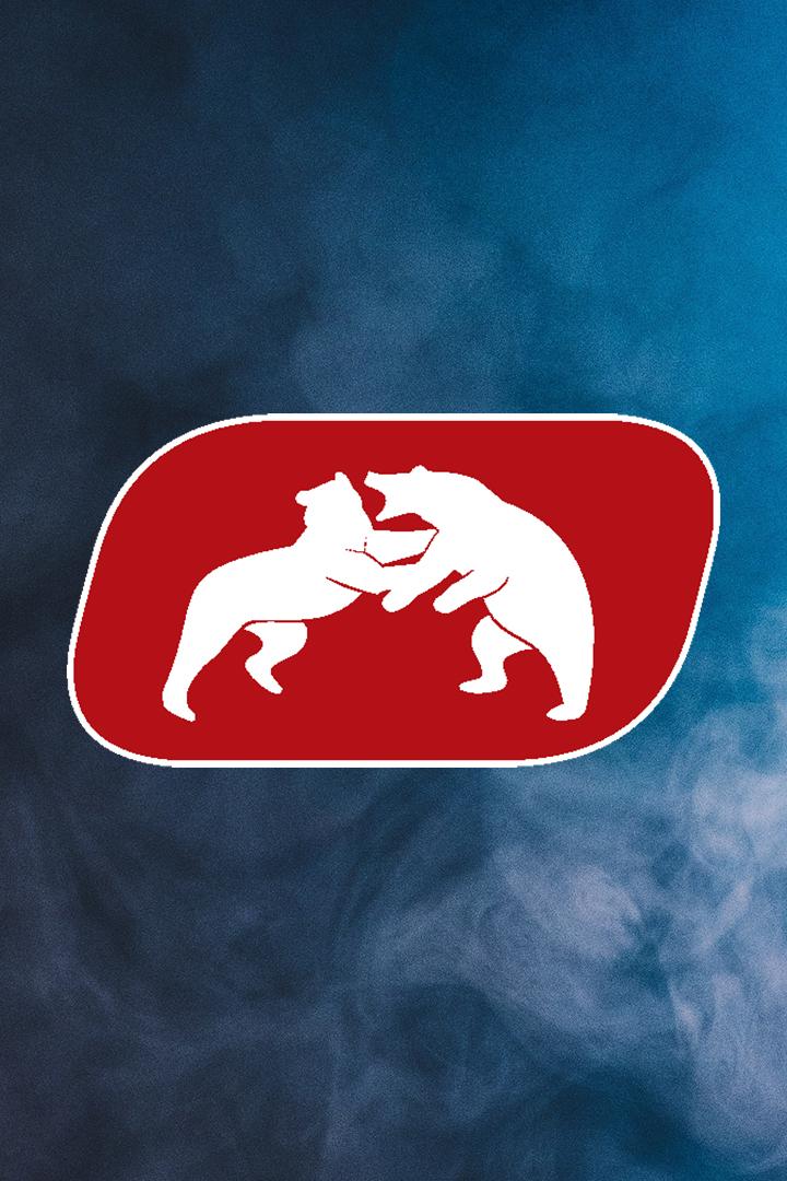 Вольная борьба. Международный турнир им. Р. М. Дмитриева