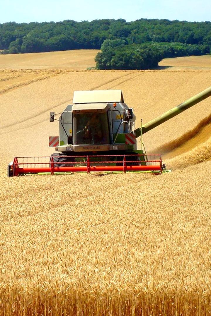 Хлеб наш насущный