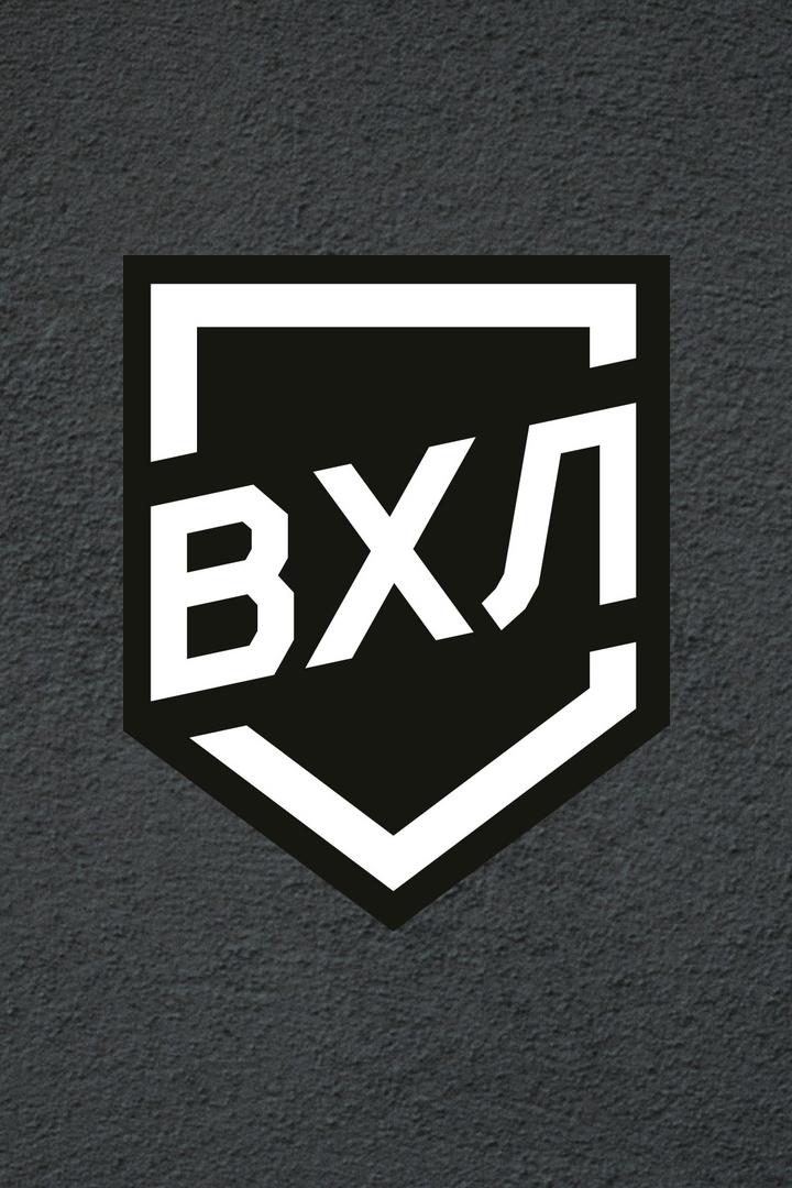 Хоккей. МХЛ. Плей-офф. Академия Михайлова (Тула) - МХК Спартак (Москва)