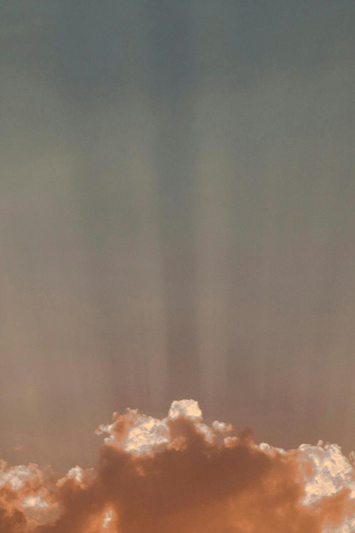 Природа в симбиозе