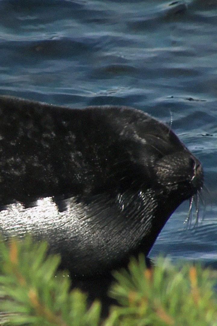 Моя неизвестная страна