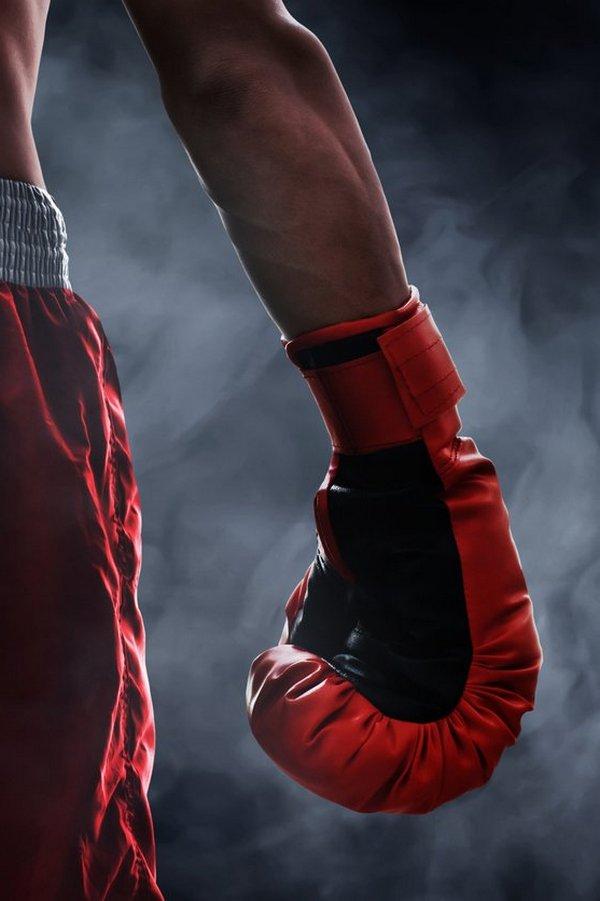 Профессиональный бокс. Леннокс Льюис против Хасима Рахмана. Трансляция из ЮАР