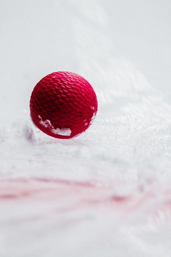 Хоккей с мячом. СКА-Нефтяник (Хабаровск) - Динамо (Москва)