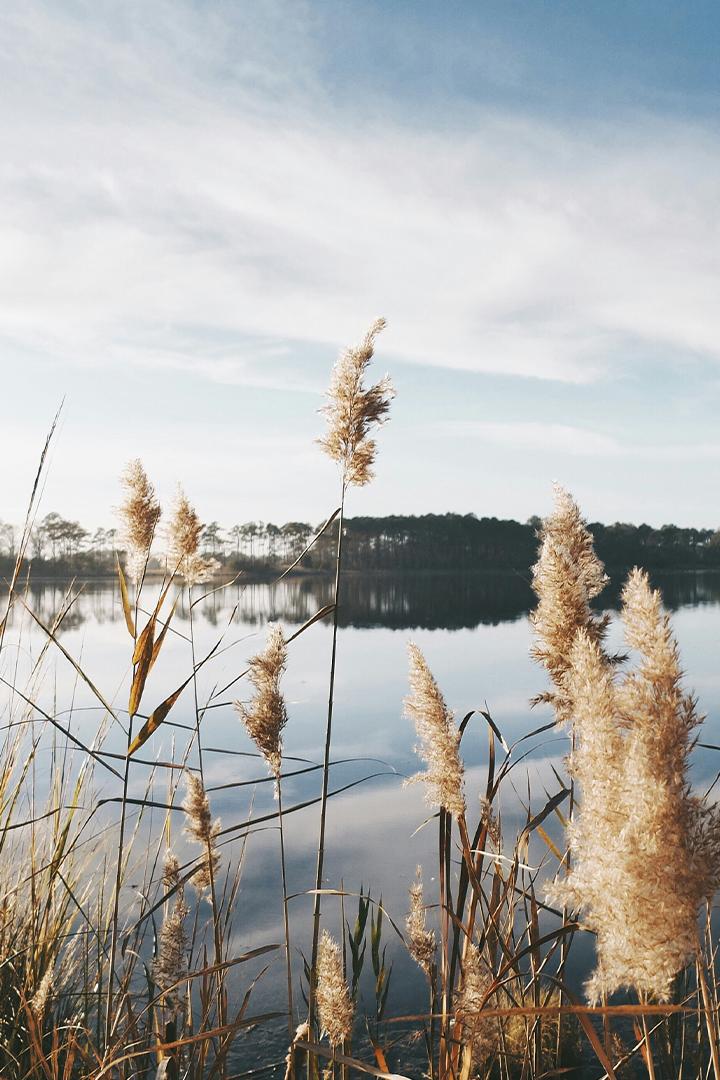 Зог и реки рая