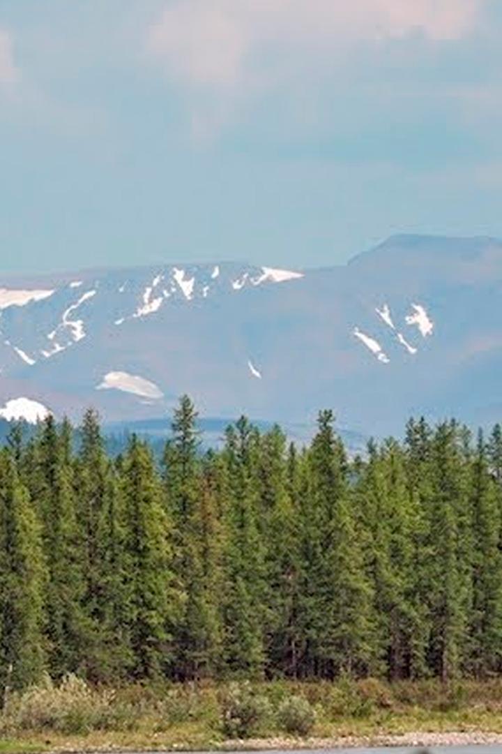 Жизнь в тайге