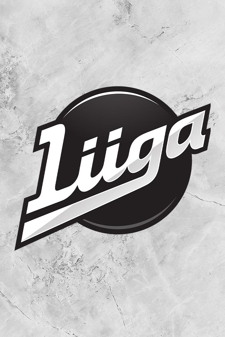 Хоккей Финская Хоккейная Лига. Плей-офф 2023/24. Финальная серия. Таппара (Тампере) - Пеликанс (Лахти). Матч 1