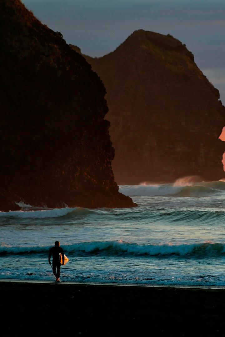 Плавающий с акулами