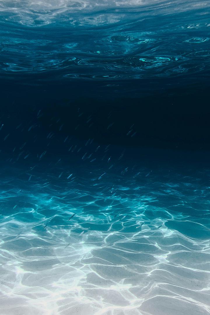 Океаны, моря, реки