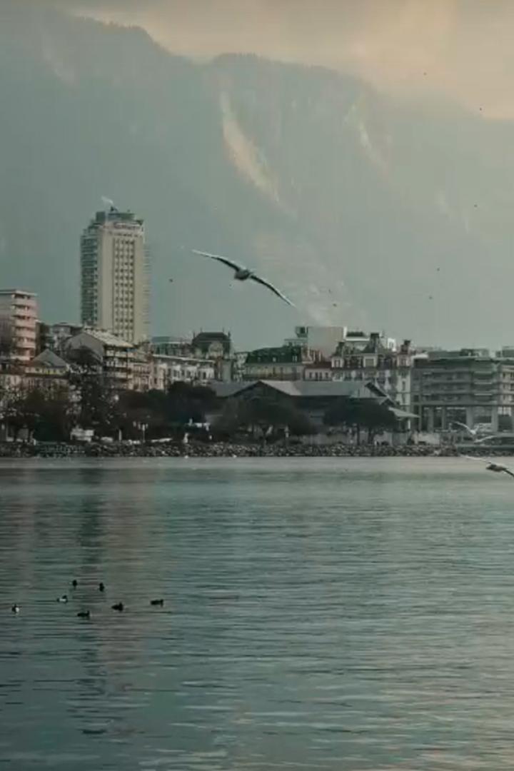 Возвращение Набокова