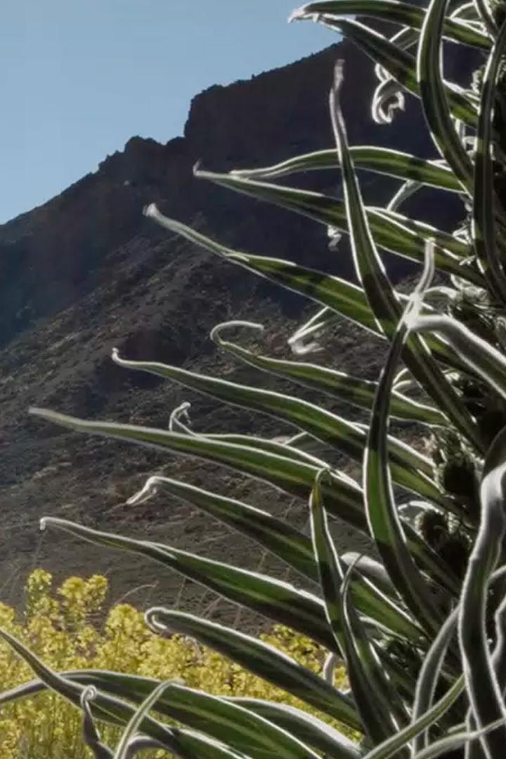 Большой маленький вулкан