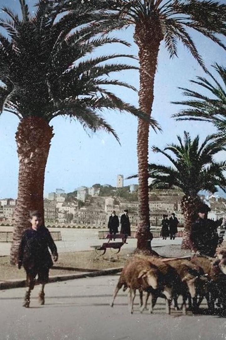 Как появилась французская Ривьера