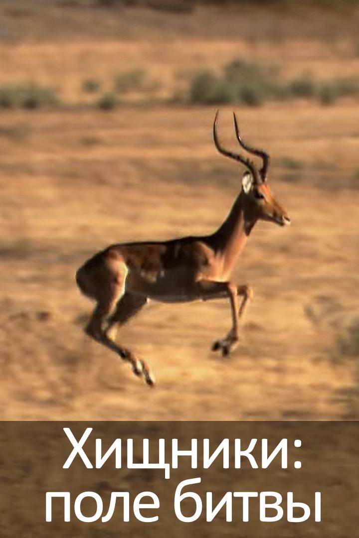 Хищники: поле битвы