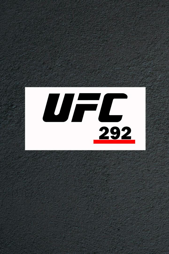 Смешанные единоборства. UFC 292. Алджэмейн Стерлинг против Шона О’Мэлли. Вейли Жанг против Аманды Лемос