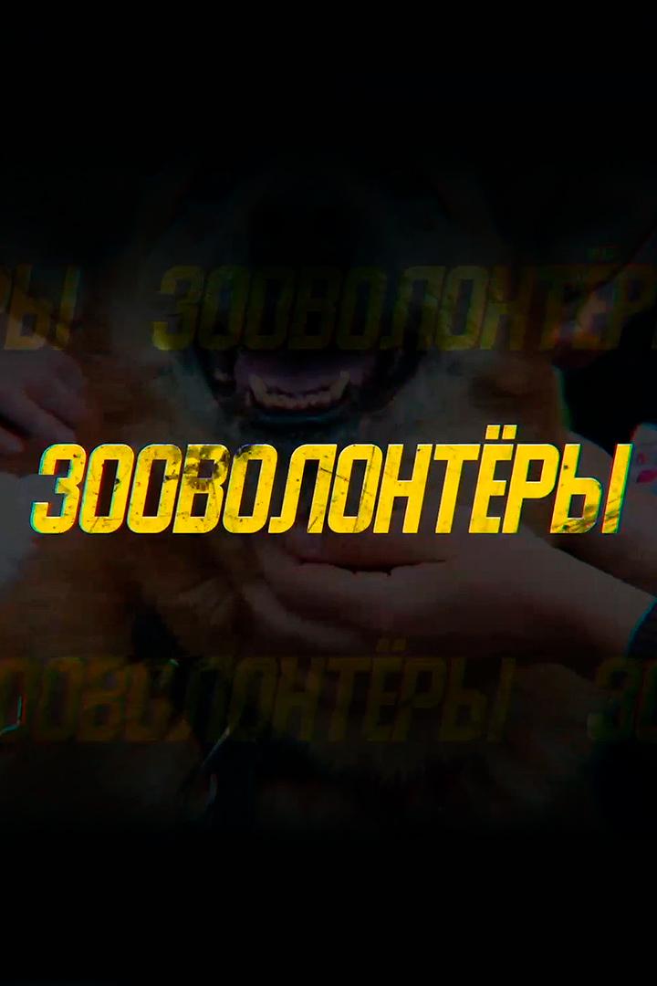 Личные истории. Зооволонтёры