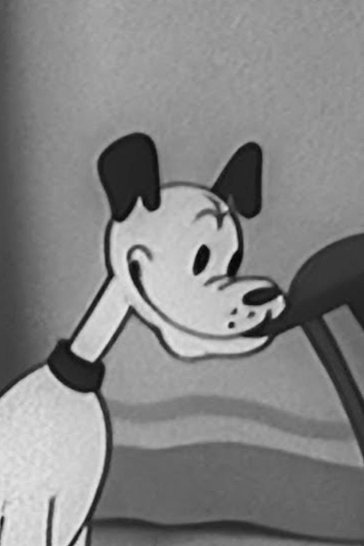 И мы на Олимпиаду!