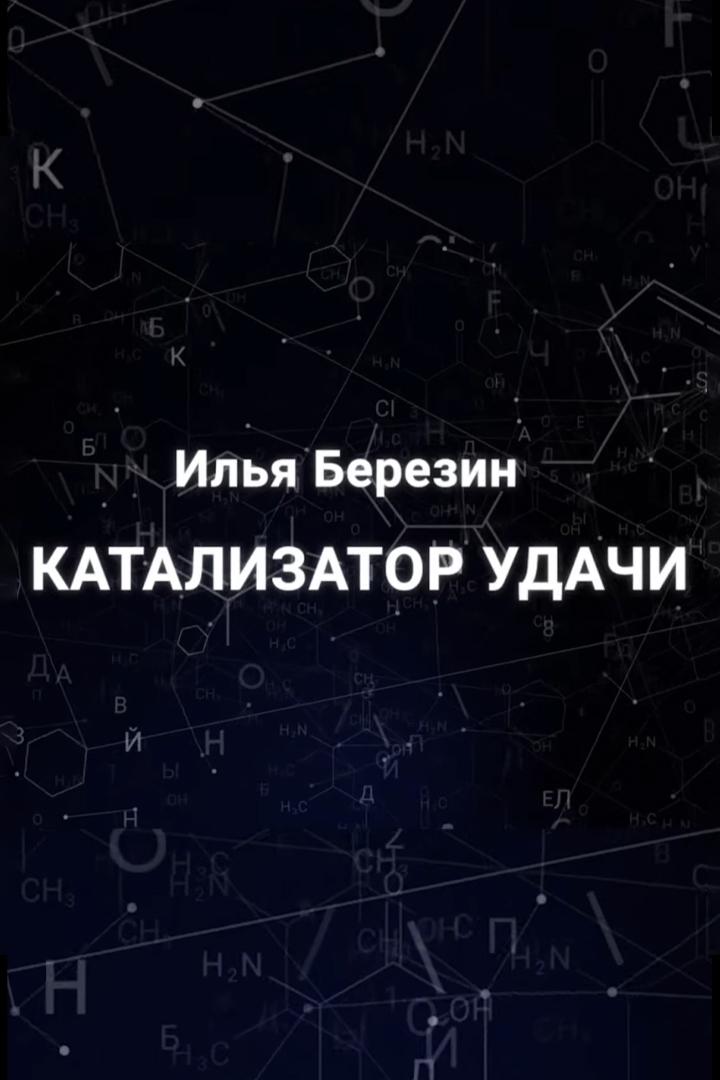 Илья Березин. Катализатор удачи