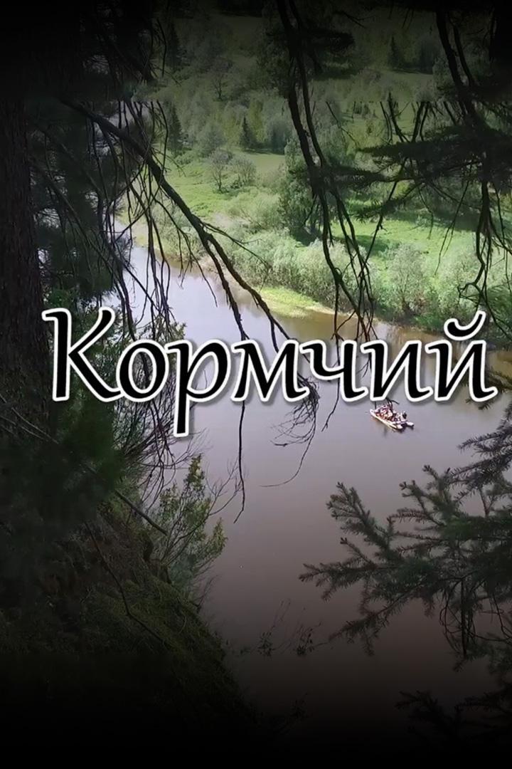 Кормчий