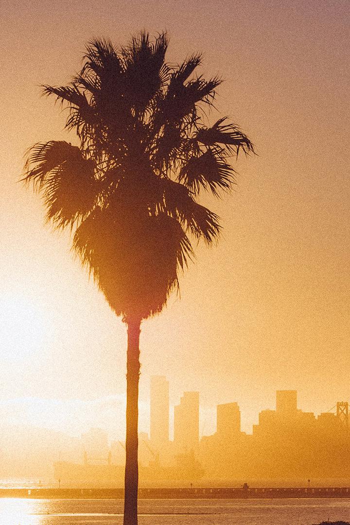 Сан-Франциско