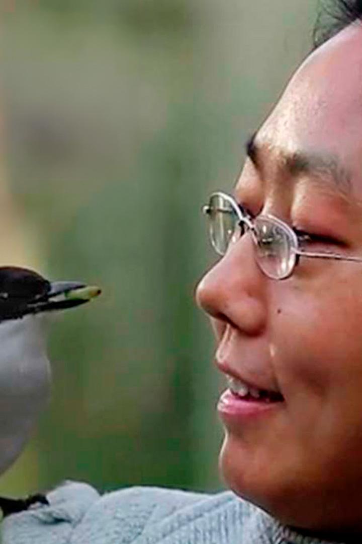 История голубой сороки