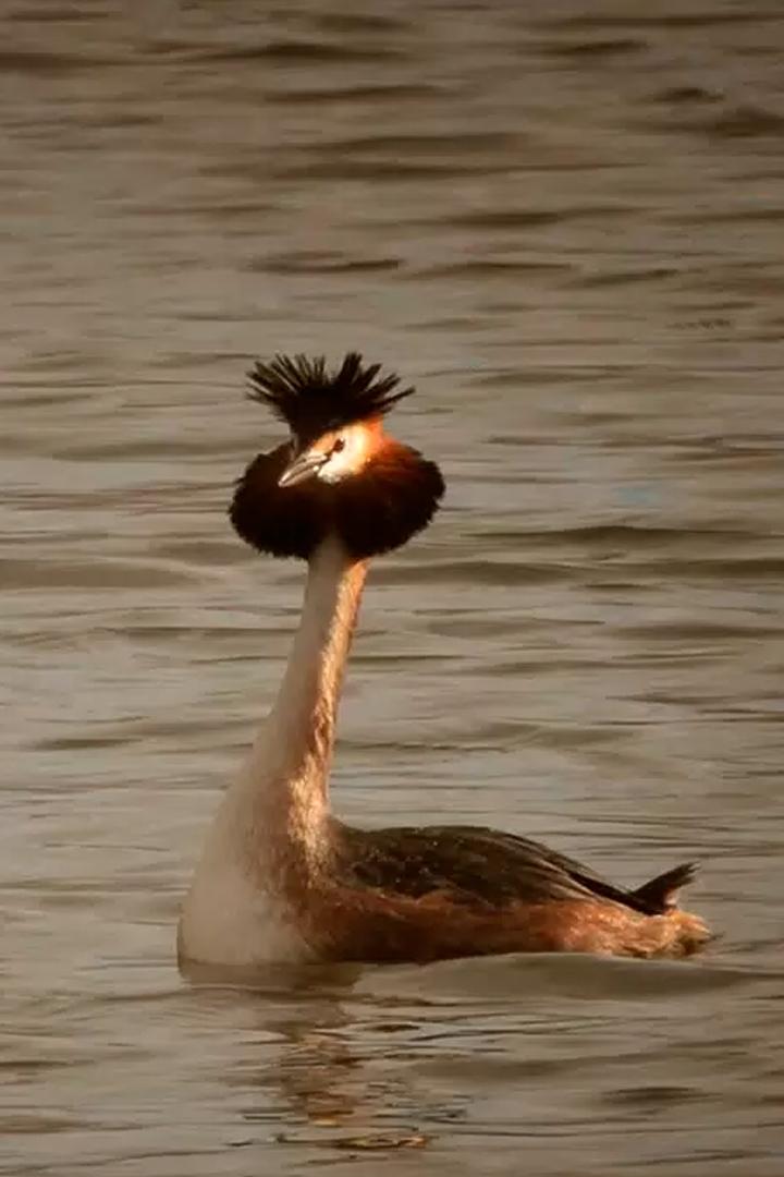 Однажды в старом канале