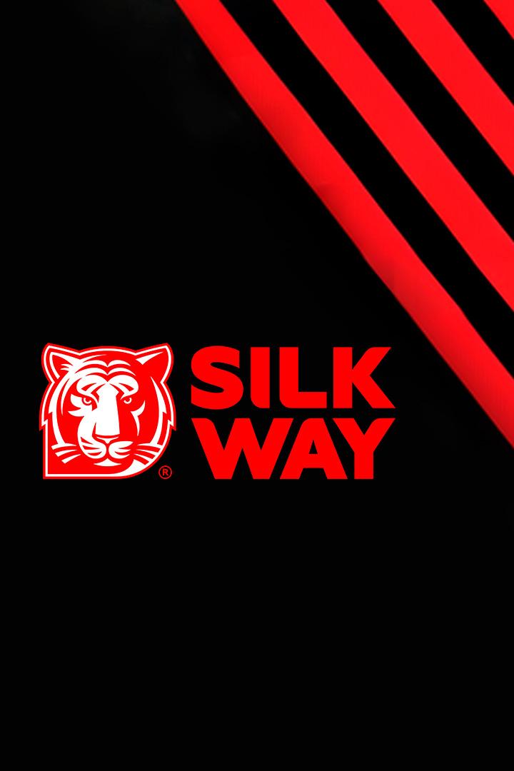 Фестиваль международного ралли "Шёлковый путь" SilkWay Sport Fest