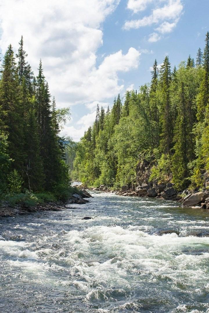 Вверх по течению