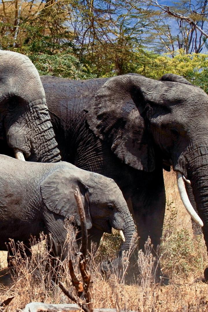 Красный список