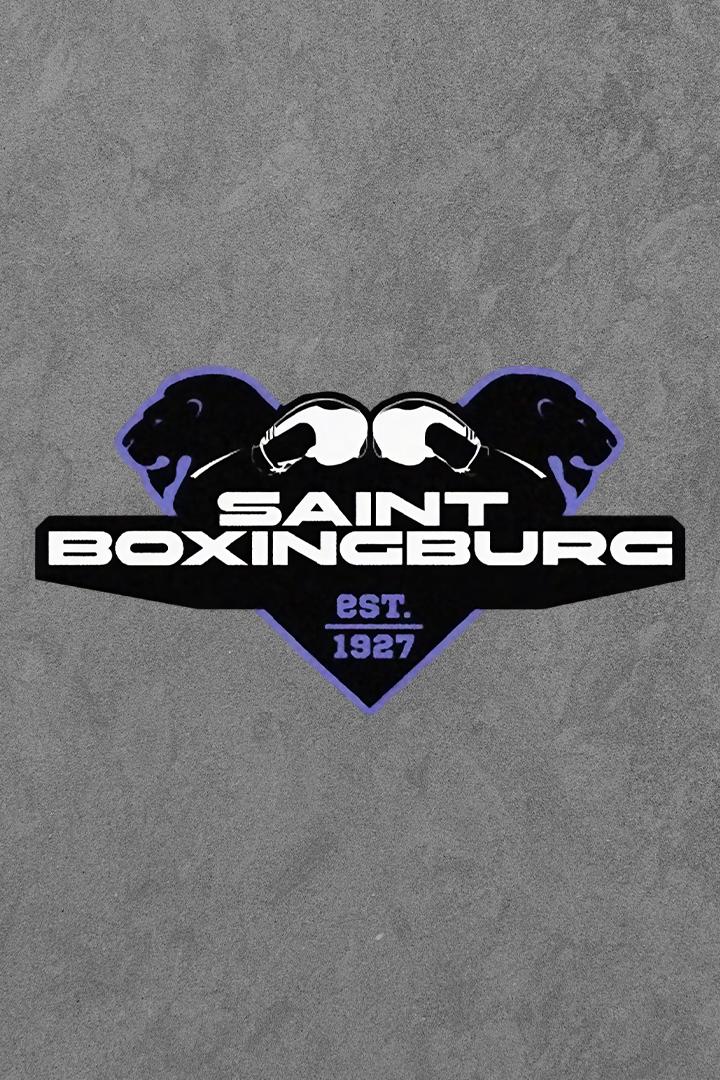 Профессиональный бокс. МЕЛБЕТ. Saint boxingburg. Алексей Мазур против Тиграна Узляна. Трансляция из Санкт-Петербурга