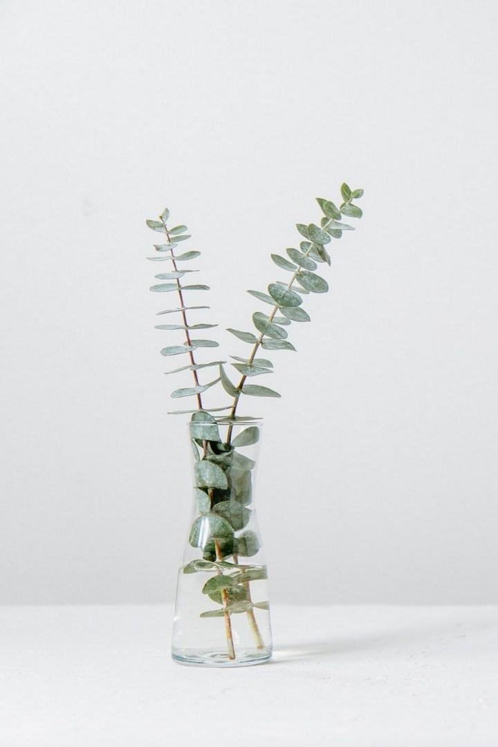 Культурная деревня Катара