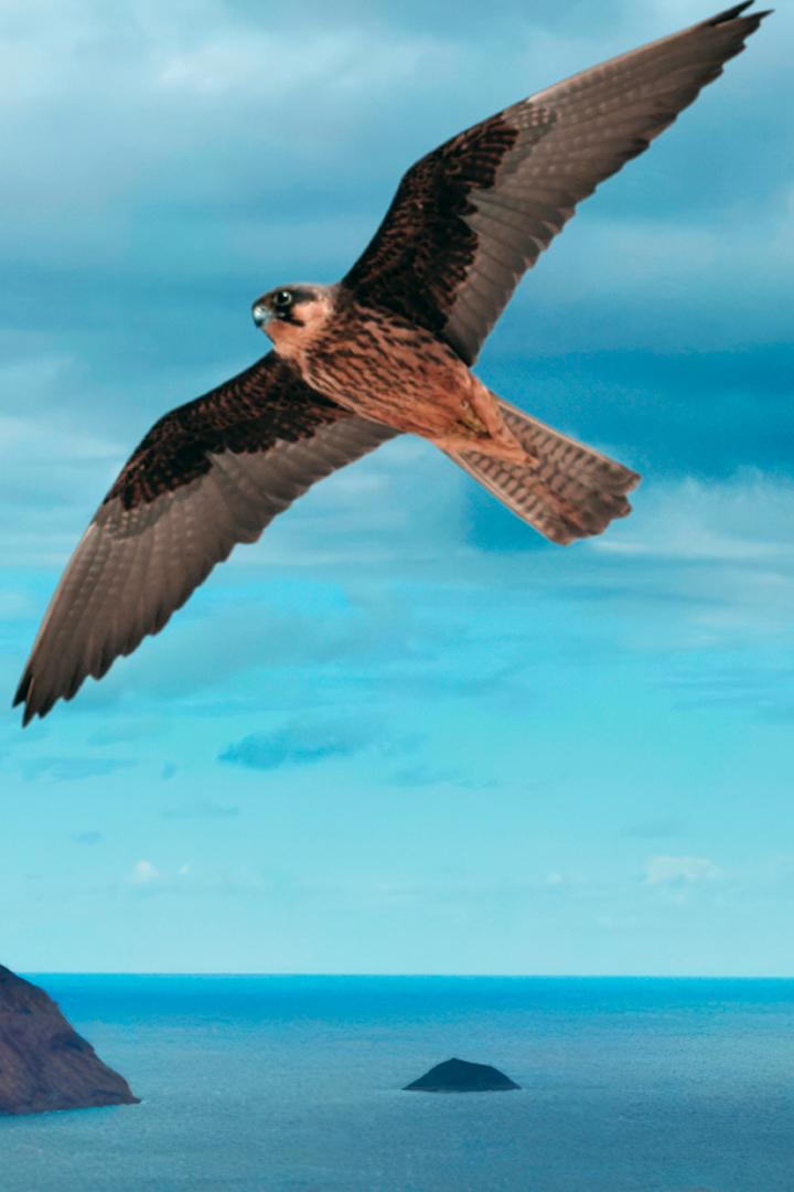 Быстрый против медленного