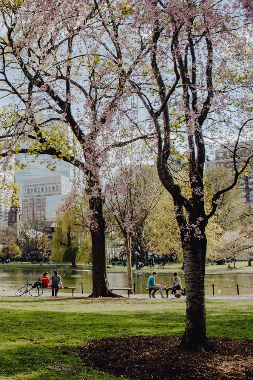 Парк Джедидайа