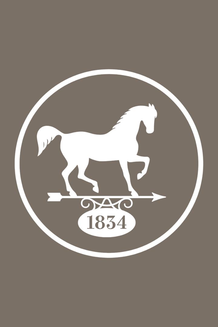 Конный спорт. Скачки. Большой Всероссийский приз (Дерби). Трансляция из Раменского