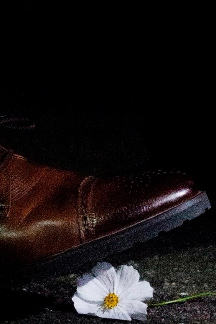 Дом Набокова. Путешествие во времени