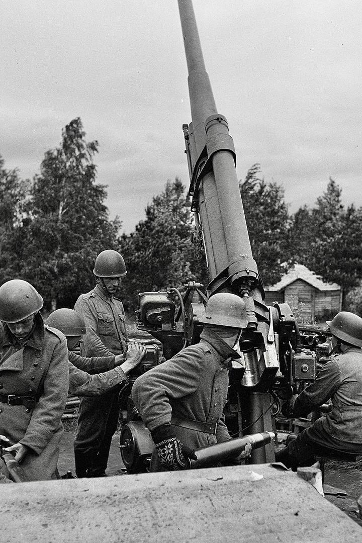 Карелия 44-го. Возмездие