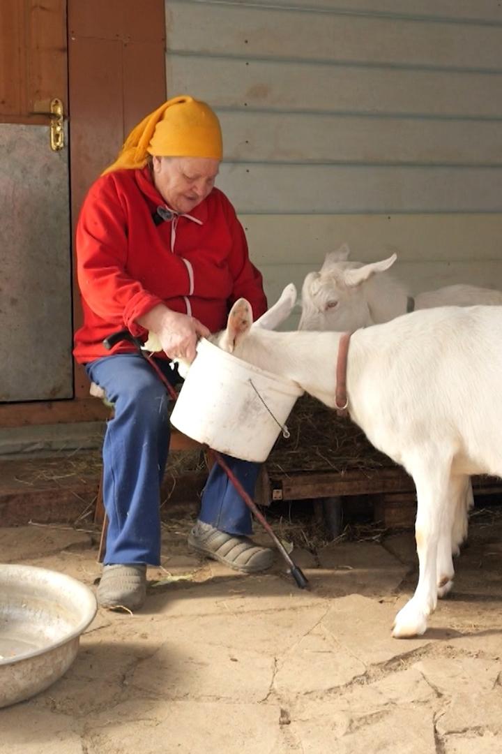 Чем кормить питомца?