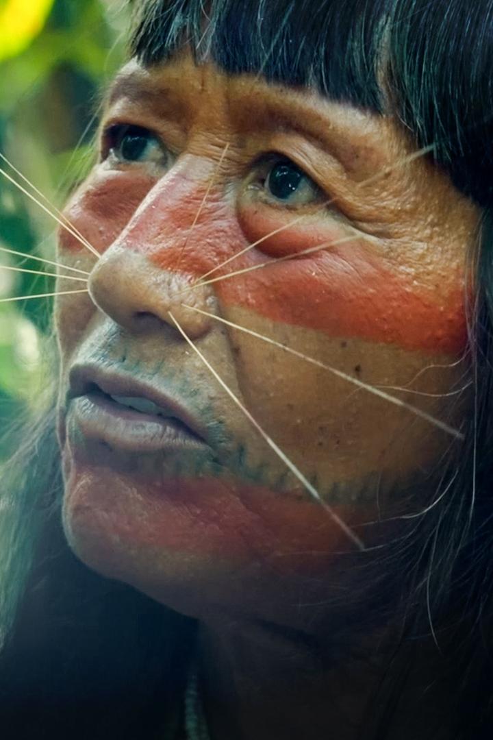 Морские странствия