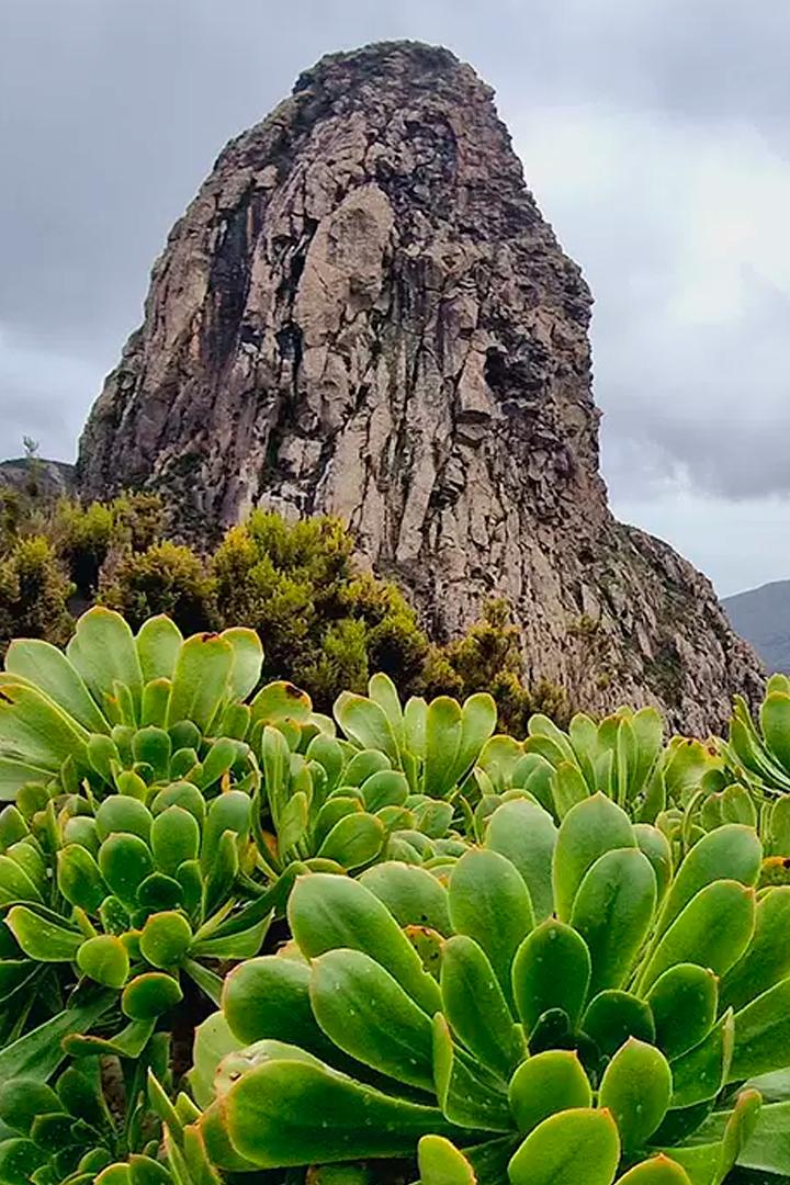 Гарахонай. Древний лес Европы