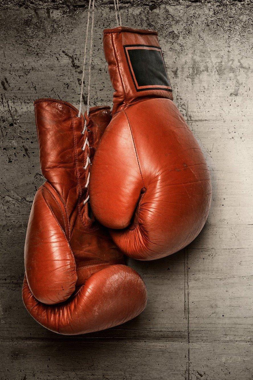 Профессиональный бокс. Артуро Гатти против Микки Уорда. Трансляция из США