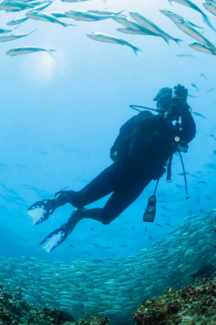 Самый лучший дайвинг