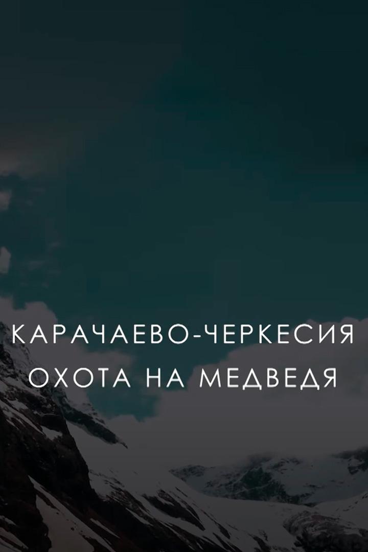 Карачаево-Черкесия. Охота на медведя